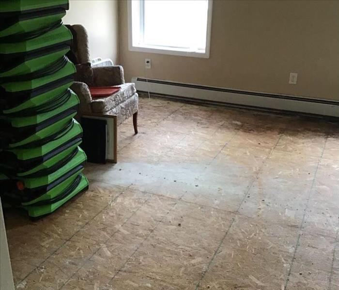 Carpet Water Damage Cleanup in Mansfield CT - After shot carpet water damage cleanup