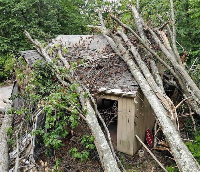 Trees flatten breezeway barely missing house in Hamden CT