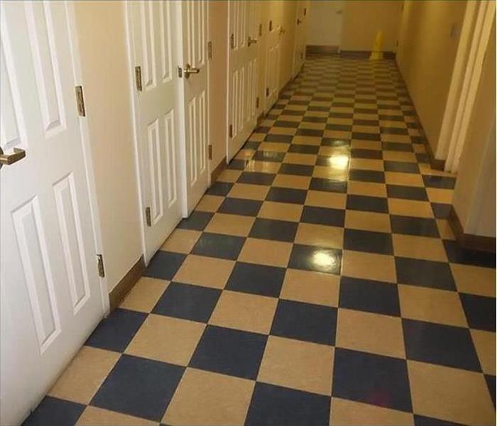 A newly buffed blue & white checkerboard floor.